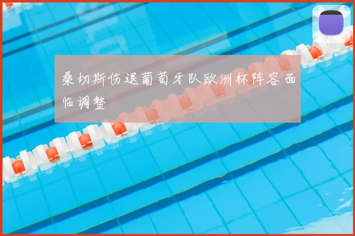 桑切斯伤退葡萄牙队欧洲杯阵容面临调整