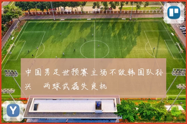 中国男足世预赛主场不敌韩国队孙兴慜两球武磊失良机