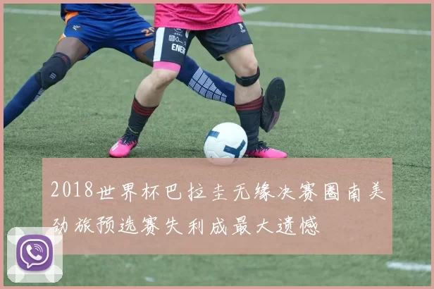 2018世界杯巴拉圭无缘决赛圈南美劲旅预选赛失利成最大遗憾